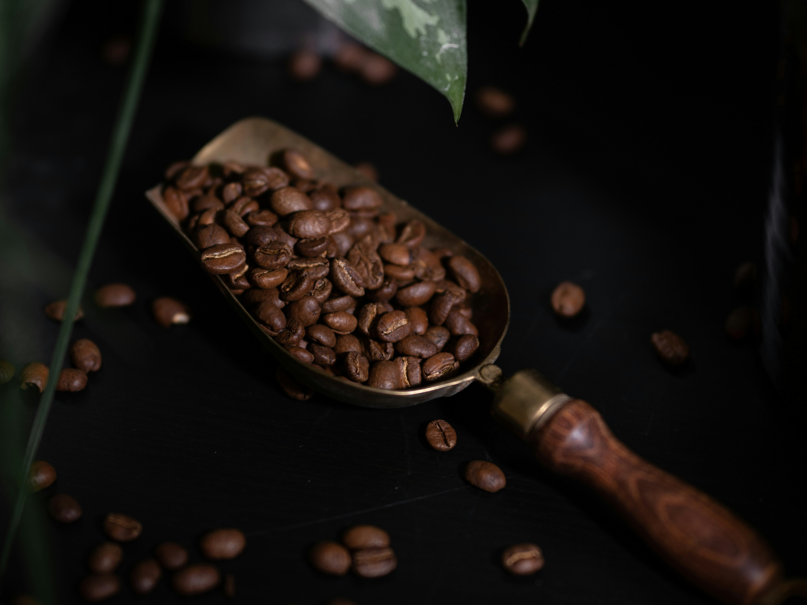 Processo de torra All In Coffee